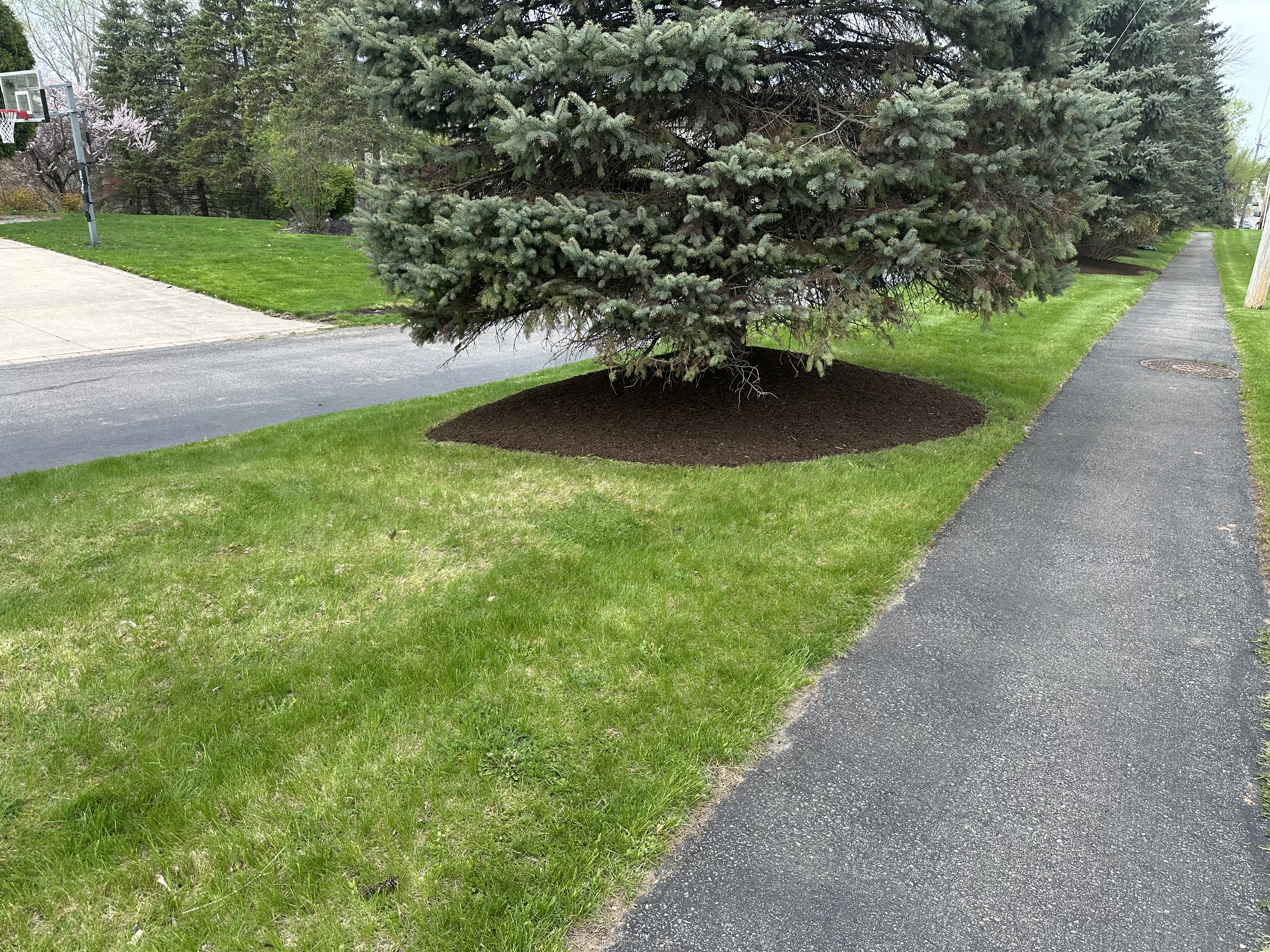 2025 mulch refresh photo 3